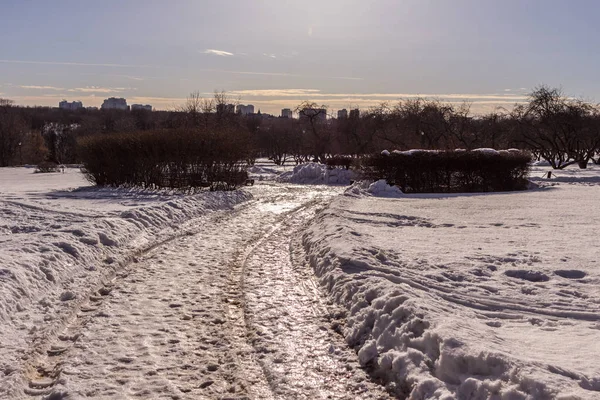 2019.02.19, Moskova, Rusya. Ufuk çizgisi ve elma bahçesi olan kış şehirleri. Kış parkında dolaşıyorum..