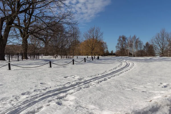 2019.02.19, Moskova, Rusya. Ufuk çizgisi ve elma bahçesi olan kış şehirleri. Kış parkında dolaşıyorum..