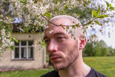 08.05.2019, Moskova, Rusya. Kolomenskoye parkında yürüyen sakallı genç bir adam. Çekici bir adam çiçek açan kiraz ağacından başka tarafa bakıyor..