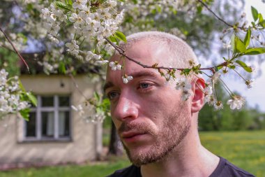 08.05.2019, Moskova, Rusya. Kolomenskoye parkında yürüyen sakallı genç bir adam. Çekici bir adam çiçek açan kiraz ağacından başka tarafa bakıyor..