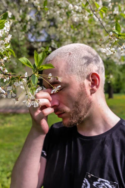 08.05.2019, Moscow, Russia. A man rubbing his nose suffering from the seasonal pollen allergy attack standing next to the flowering tree in the spring park.