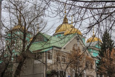 Köknar ağaçlarının arasında bir meydanda altın kubbeleri olan eski bir kilise. Rusya 'nın dini mimarisi.