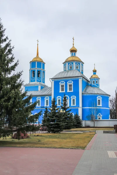 モミの木の間の広場に黄金のドームと青の教会 ロシアの宗教建築 — ストック写真