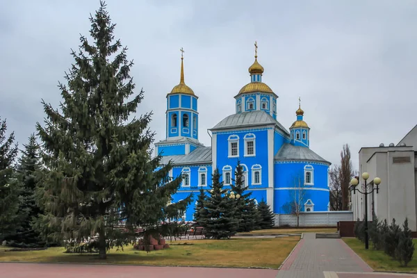 Niebieski Kościół Złotymi Kopułami Placu Pośród Jodł Architektura Religijna Rosji — Zdjęcie stockowe