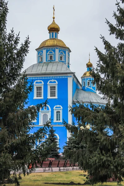 Chiesa Blu Con Cupole Dorate Una Piazza Tra Abeti Architettura — Foto Stock