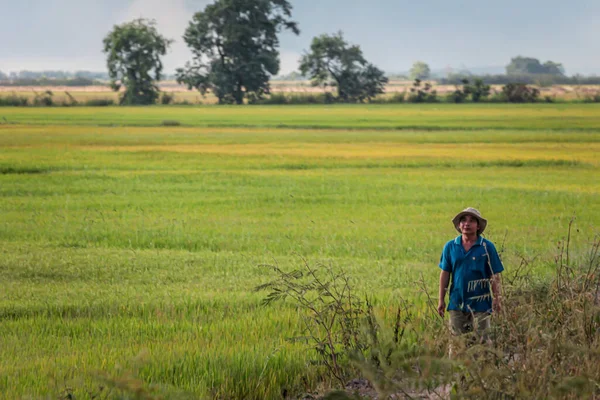 304.2015, Phan Thiet, Vietnam. Vietnamlılar günlük işlerini yapıyorlar..