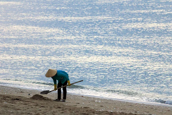 2015 Phan Thiet Vietnam 越南工人头戴全国性的帽子 清扫海滩上的垃圾 — 图库照片