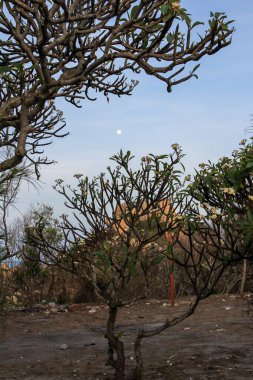 Asya 'yı dolaş. Akşamları deniz manzaralı, deniz manzaralı, deniz manzaralı, Vietnam.