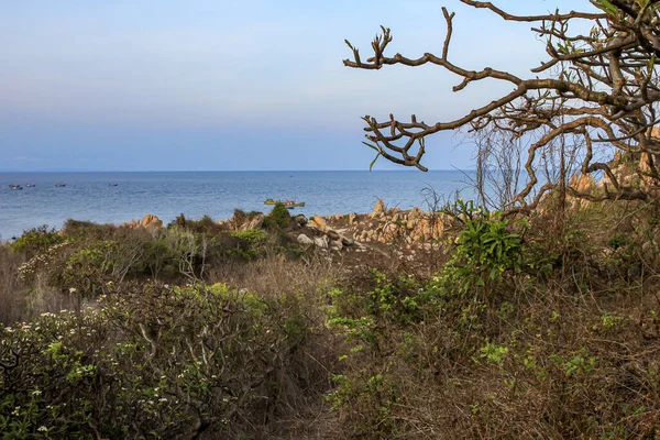 Voyagez Asie Paysage Marin Avec Lune Plantes Sur Côte Dans — Photo