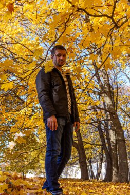 Sonbahar ağacının altında duran siyah ceketli kısa saçlı genç bir adam. Düşen parkta meditasyon.