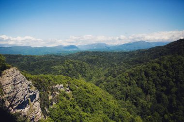 doğal manzaralı panorama 