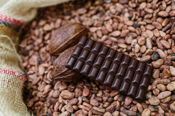 Artisan chocolate making, beans and tiled bitter choco