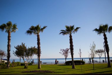 Deniz kıyısı avucunda