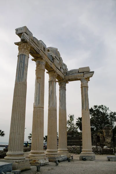 Tempel Van Apollo Side Turkije — Stockfoto