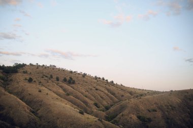 Güzel doğa manzarası manzarası 