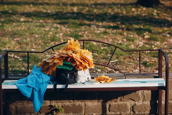 Женская Сумочка Венок Осенних Листьев Скамейке — стоковое фото