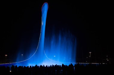 Sochi 'de, Olympic Park' ta, Rusya 'da...