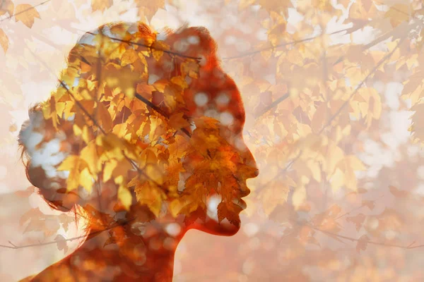 Herbstjahreszeitkonzept Kopf Silhouette Einer Schönen Jungen Frau Auf Einem Hintergrund — Stockfoto