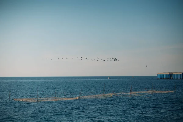 Denizde Balık Ağları Yukarıda Bir Kuş Sürüsü — Stok fotoğraf