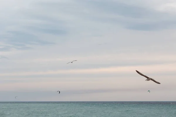 Kitesurfing Και Kiteboarding Έννοια Γλάροι Πουλιά Και Άνθρωποι Που Πετούν — Φωτογραφία Αρχείου