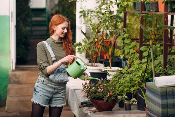 Home gardening concept. Young cute woman with watering can planting plants. Spring home garden plant.