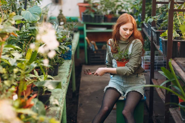 Thuis Tuinieren Concept Jonge Mooie Vrouw Met Hark Zittende Planten — Stockfoto