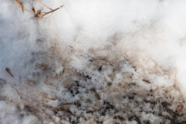 Kirli erimiş karla ilkbahar kar yağışı