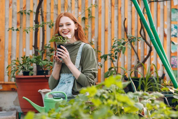 Koncepcja Ogrodnictwa Domowego Młoda Urocza Kobieta Uśmiech Roślin Doniczkowych Sadzenia — Zdjęcie stockowe