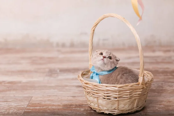 Um pequeno gatinho vermelho olha para fora de uma cesta de vime