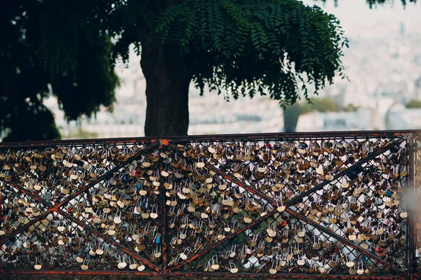 Pagar Dengan Kunci Cinta Paris — Stok Foto