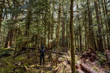 Ormanda duran kadın