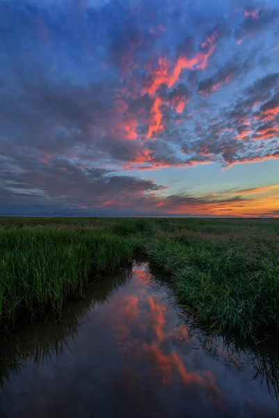 Paisagem de pôr do sol sobre pântano gramado — Fotografia de Stock