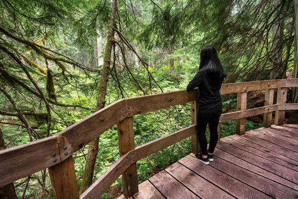 Mulher em pé na passarela de madeira na floresta — Fotografia de Stock