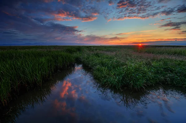 Paesaggio del tramonto sulla palude erbosa — Foto Stock