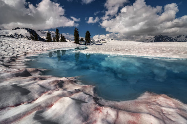 Picturesque winter landscape