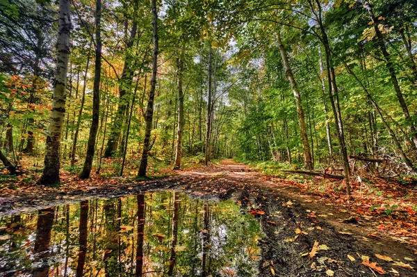 Paisagem pitoresca de natureza colorida — Fotografia de Stock