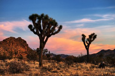 Çölde güzel gün batımı 