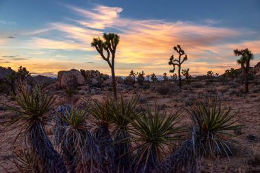 Çölde güzel gün batımı 