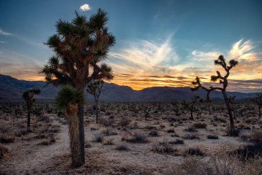 Çölde güzel gün batımı 
