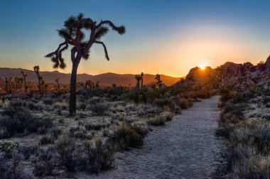 Çölde güzel gün batımı 