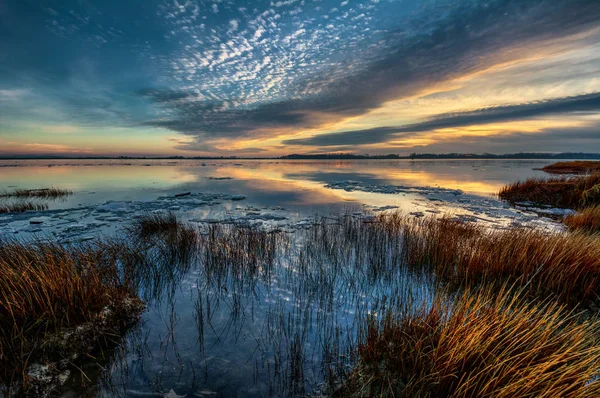 Příliv přichází v ponořených trávy — Stock fotografie