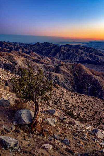 Beautiful sunset in desert — Stock Photo, Image