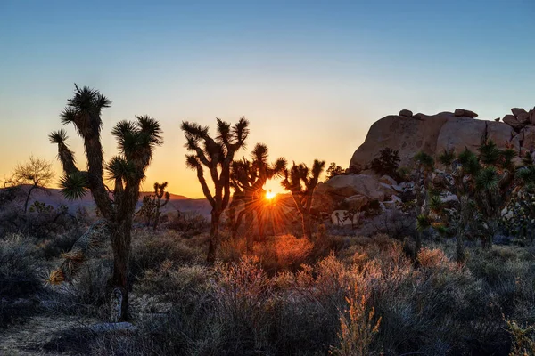 Çölde güzel gün batımı 