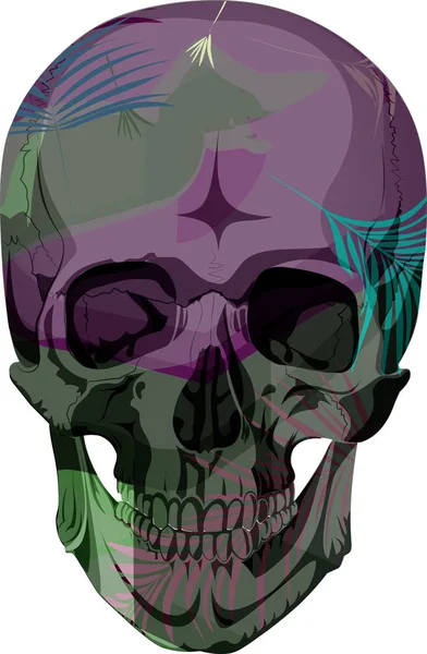 Lidská lebka kostra kosti mrtvých — Stockový vektor