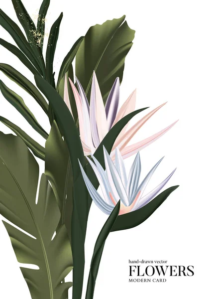 Banderas de palma exóticas vectoriales con hojas tropicales verdes y flores de fondo. Diseño botánico para fotografía, floristería, cosmética, spa, perfume, salón de belleza, agencia de viajes — Archivo Imágenes Vectoriales