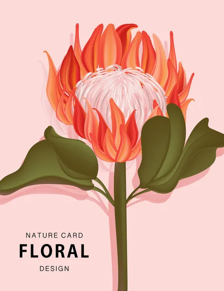 Bunga Protea tanaman eksotis alam. Seni vektor tropis realistik 3d. Bunga liar, tumbuhan tropis, kebun koleksi daun hijau dan liar, tumbuhan hutan, bunga, cabang. Vektor - Stok Vektor