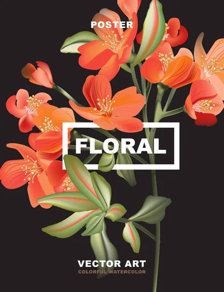 Cartel de flores de Macro astromelia, tarjeta de felicitación navideña, 8 de marzo de diseño. Naranja flor roja pequeña planta de lirio aislado en negro. Delicado diseño florista vector realista — Archivo Imágenes Vectoriales