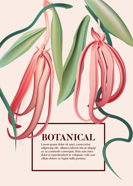 Rosa Ylang Ylang Acuarela Flor Hierba Silvestre Cartel Naturaleza Diseño — Archivo Imágenes Vectoriales