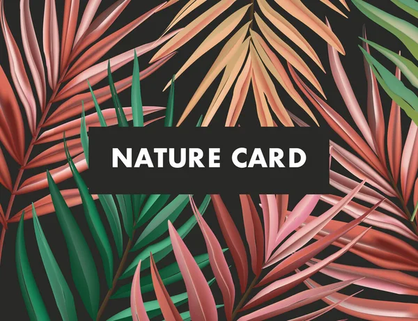 Sprint Paln Τροπικό Δάσος Ζούγκλα Φόντο Πολύχρωμο Μακροεντολή Φύλλα Εικονογράφηση — Διανυσματικό Αρχείο