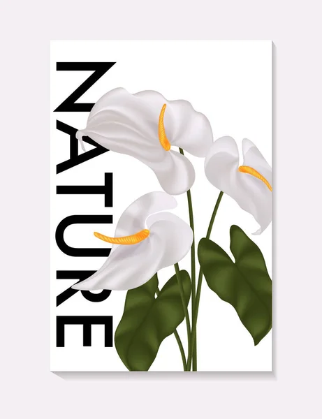 Anthurium minimal floral card design, προσκλητήριο γάμου, αφίσα γάμου σε λευκό χρώμα. Μεγάλο λευκό ζωγραφισμένο λουλούδι γλώσσας, σχέδιο λουλουδιών φλαμίνγκο σε διάνυσμα — Διανυσματικό Αρχείο